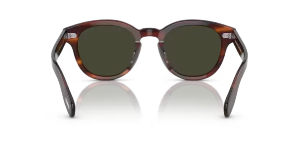 Lunettes de soleil Oliver Peoples OV5413SU - Cary grant sun 1679P1 - Écaille de tortue grant 48/50 – Image 4