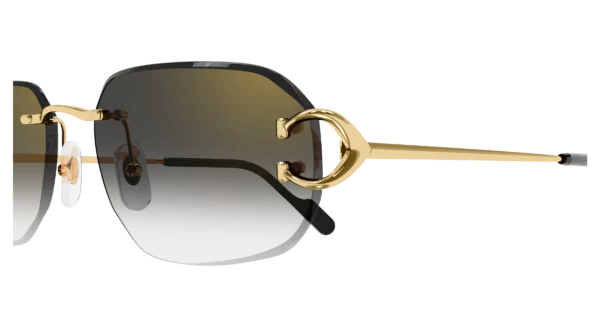 Lunettes de soleil Cartier CT0468S-001  L – Image 3