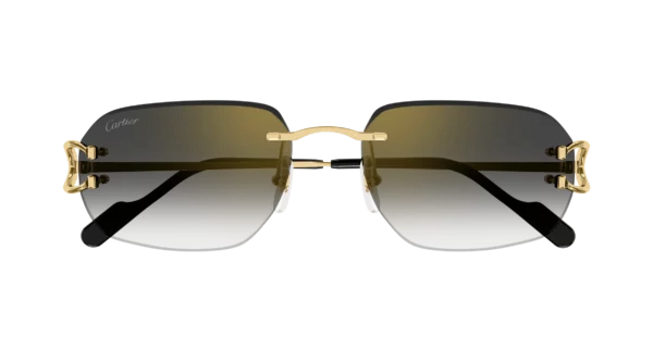 Lunettes de soleil Cartier CT0468S-001  L – Image 2