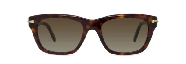 Lunettes de soleil Fred Force10 FG40077I 54F - Acétate brillant écaille avec des verres dégradés marron – Image 2