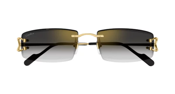 Lunettes de soleil Cartier CT0465S-001