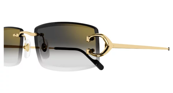 Lunettes de soleil Cartier CT0465S-001