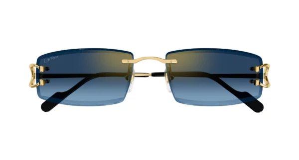 Lunettes de soleil Cartier CT0465S-002