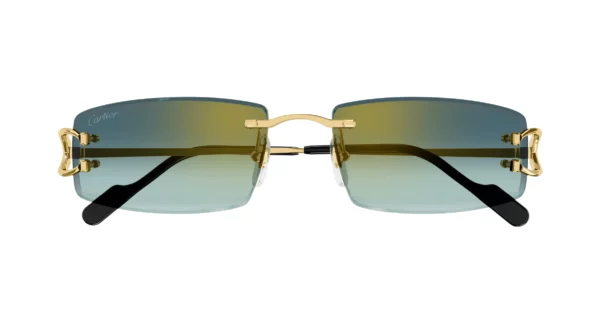Lunettes de soleil Cartier CT0465S-003