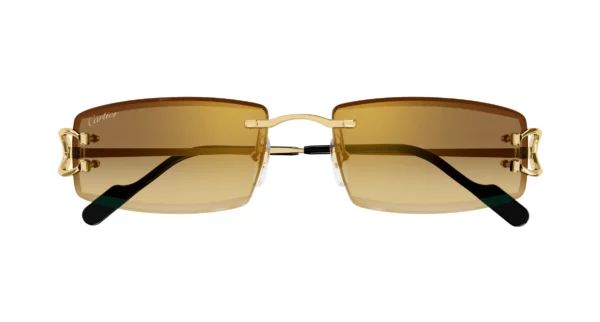 Lunettes de soleil Cartier CT0465S-004