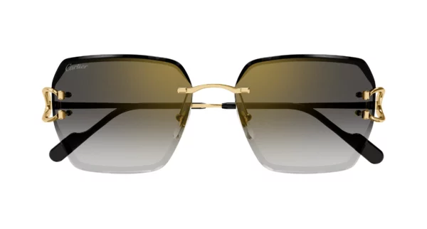 Lunettes de soleil Cartier CT0466S-004
