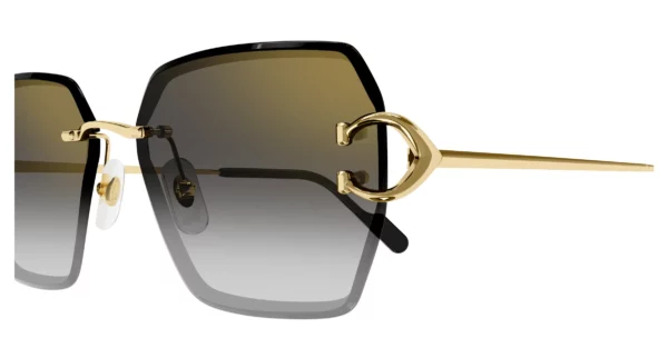 Lunettes de soleil Cartier CT0466S-004