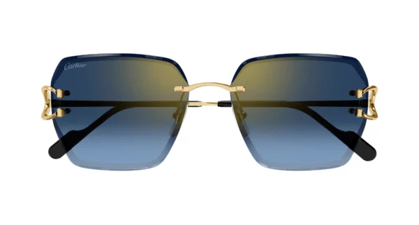 Lunettes de soleil Cartier CT0466S-002
