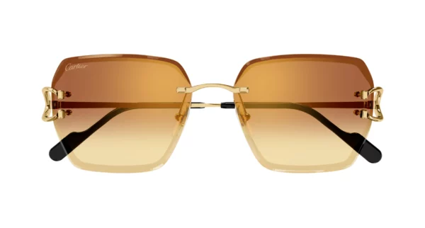 Lunettes de soleil Cartier CT0466S-004