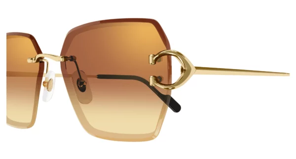 Lunettes de soleil Cartier CT0466S-004