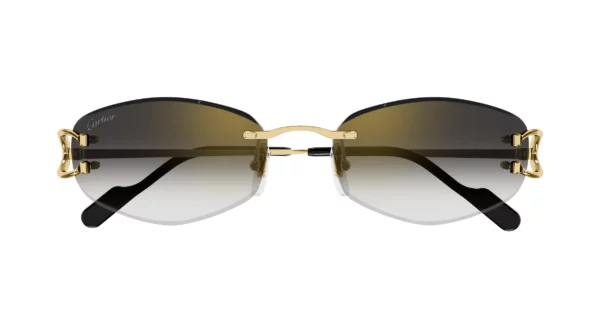 Lunettes de soleil Cartier CT0467S-001