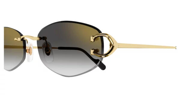 Lunettes de soleil Cartier CT0467S-001