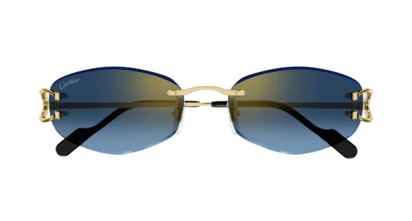 Lunettes de soleil Cartier CT0467S-002