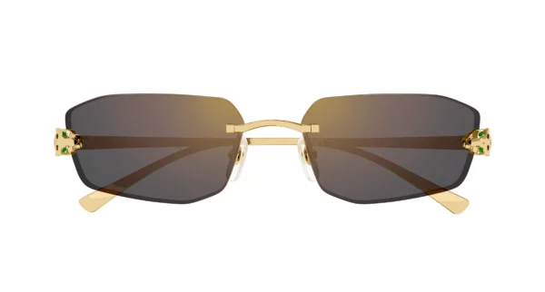 Lunettes de soleil Cartier CT0474S-001
