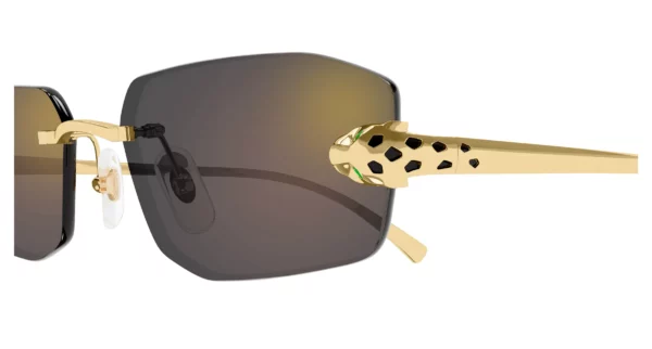 Lunettes de soleil Cartier CT0474S-001