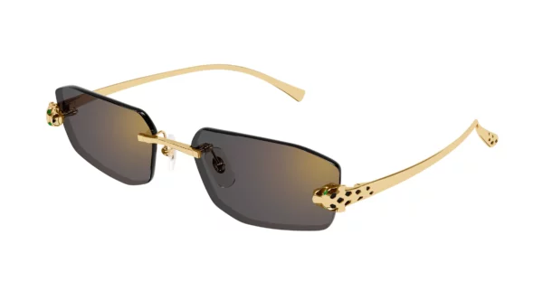 Lunettes de soleil Cartier CT0474S-001