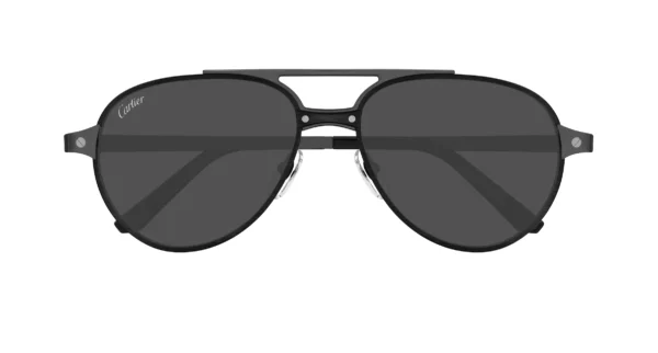Lunettes de soleil Cartier CT0476S-005