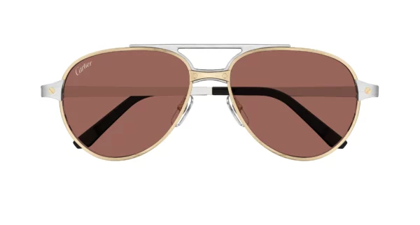 Lunettes de soleil Cartier CT0476S-006