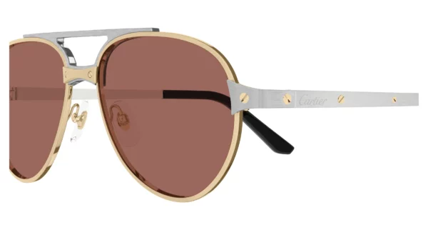 Lunettes de soleil Cartier CT0476S-006