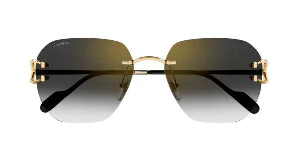 Lunettes de soleil Cartier branche corne CT0394S-001