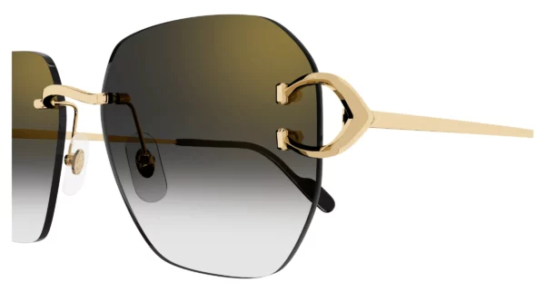 Lunettes de soleil Cartier branche corne CT0394S-001