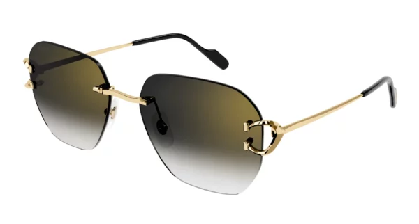 Lunettes de soleil Cartier branche corne CT0394S-001