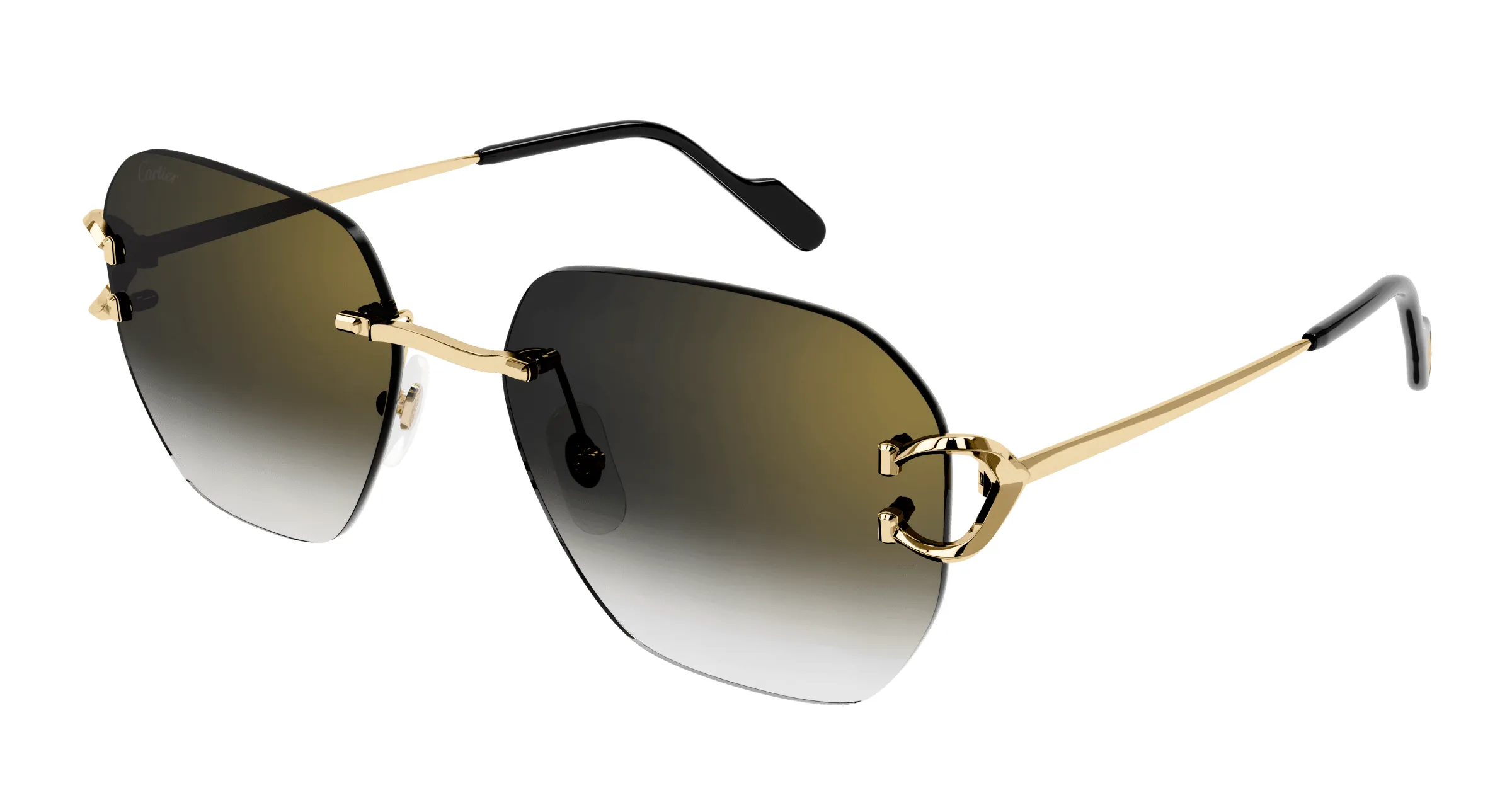 Lunettes de soleil Cartier branche corne CT0394S-001