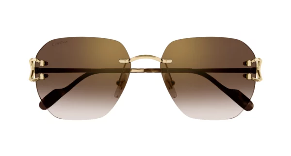 Lunettes de soleil Cartier branche corne CT0394S-002