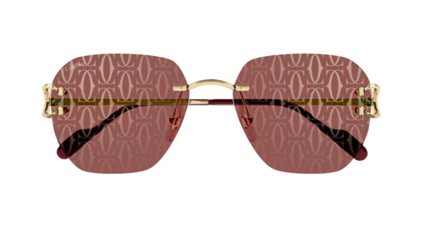 Lunettes de soleil Cartier branche corne CT0394S-003