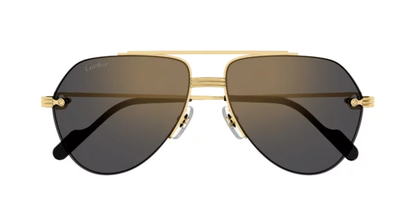 Lunettes de soleil Cartier branche corne CT0427S-001