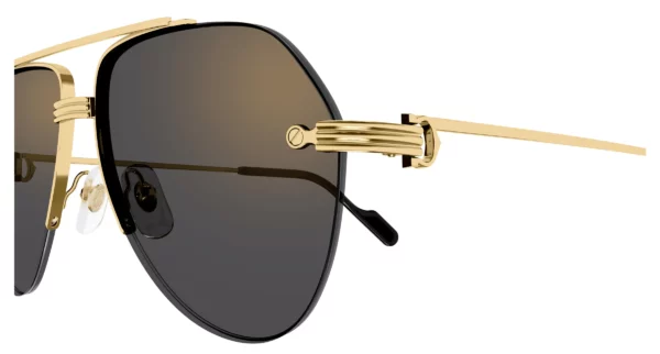Lunettes de soleil Cartier branche corne CT0427S-001