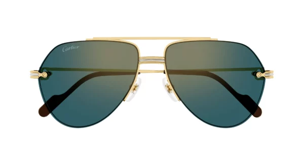 Lunettes de soleil Cartier branche corne CT0427S-002