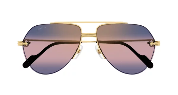 Lunettes de soleil Cartier branche corne CT0427S-004