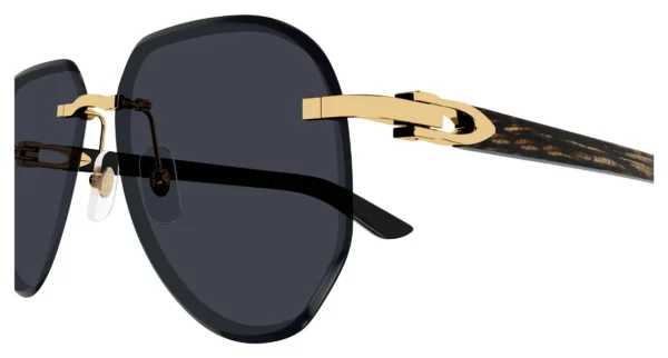 Lunettes de soleil Cartier branche corne CT0440S-001