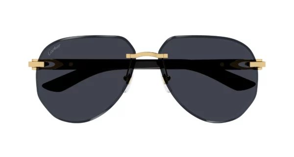 Lunettes de soleil Cartier branche corne CT0440S-002