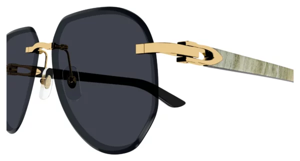 Lunettes de soleil Cartier branche corne CT0440S-002