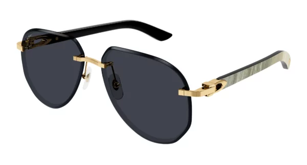 Lunettes de soleil Cartier branche corne CT0440S-002