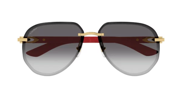 Lunettes de soleil Cartier branche corne CT0440S-003