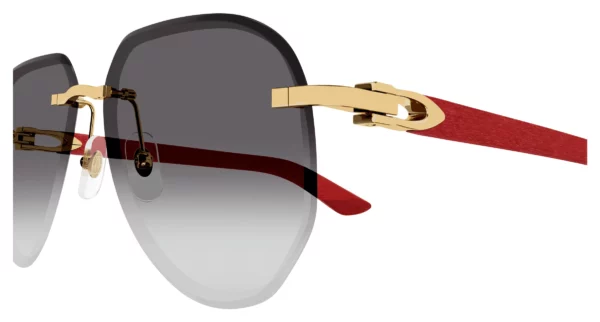 Lunettes de soleil Cartier branche corne CT0440S-003