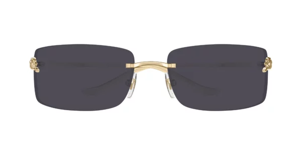 Lunettes de soleil Cartier panthère CT0503S-001
