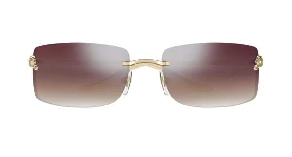 Lunettes de soleil Cartier panthère CT0503S-003