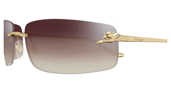 Lunettes de soleil Cartier panthère CT0503S-003
