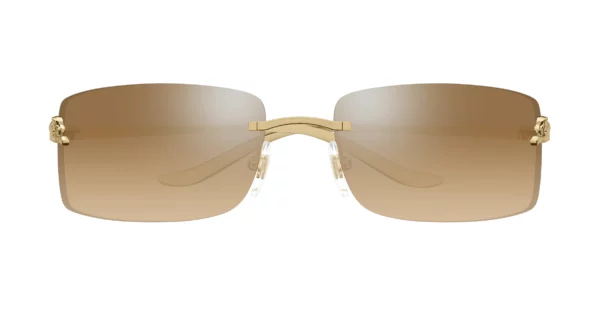 Lunettes de soleil Cartier panthère CT0503S-004