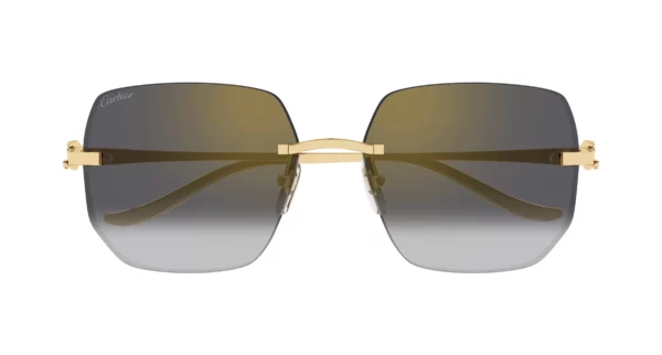 Lunettes de soleil Cartier panthère CT0549S-001