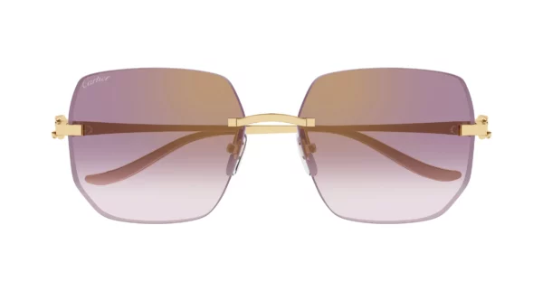 Lunettes de soleil Cartier panthère CT0549S-003