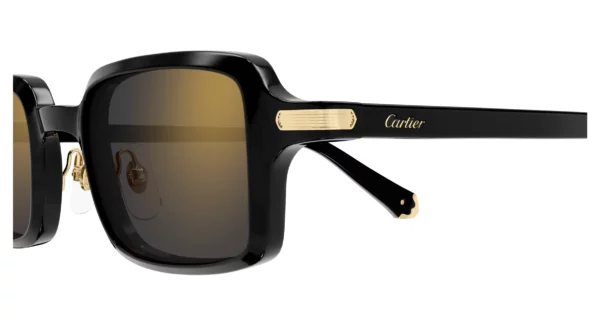 Lunettes de soleil Cartier première CT0539S-001