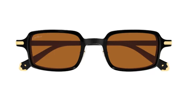 Lunettes de soleil Cartier première CT0539S-003