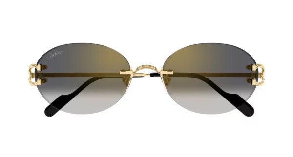 Lunettes de soleil Cartier signature CT0551S-001