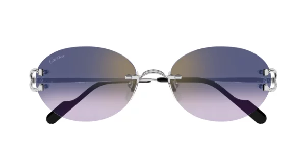 Lunettes de soleil Cartier signature CT0551S-003