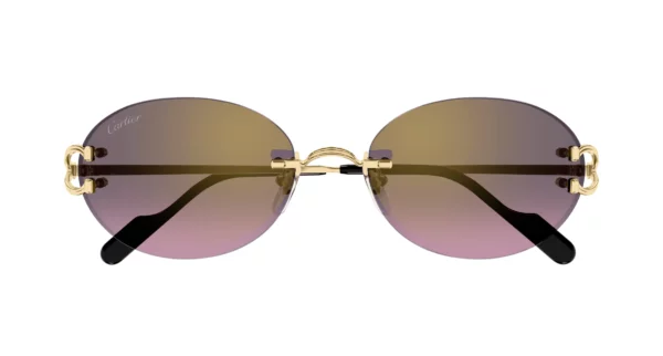 Lunettes de soleil Cartier signature CT0551S-004